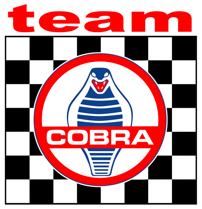 Sticker Cobra Shelby CB023 – Aufkleber