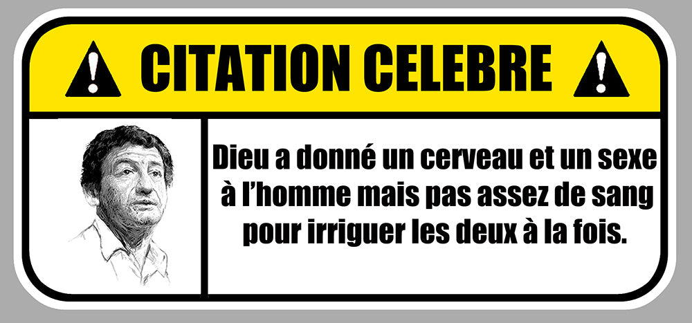 STICKER CITATION CELEBRE DESPROGES - DB123