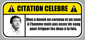 STICKER CITATION CELEBRE DESPROGES - DB123