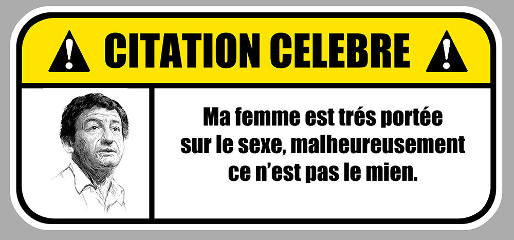 STICKER CITATION CELEBRE DESPROGES - FB055