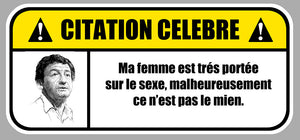 STICKER CITATION CELEBRE DESPROGES - FB055