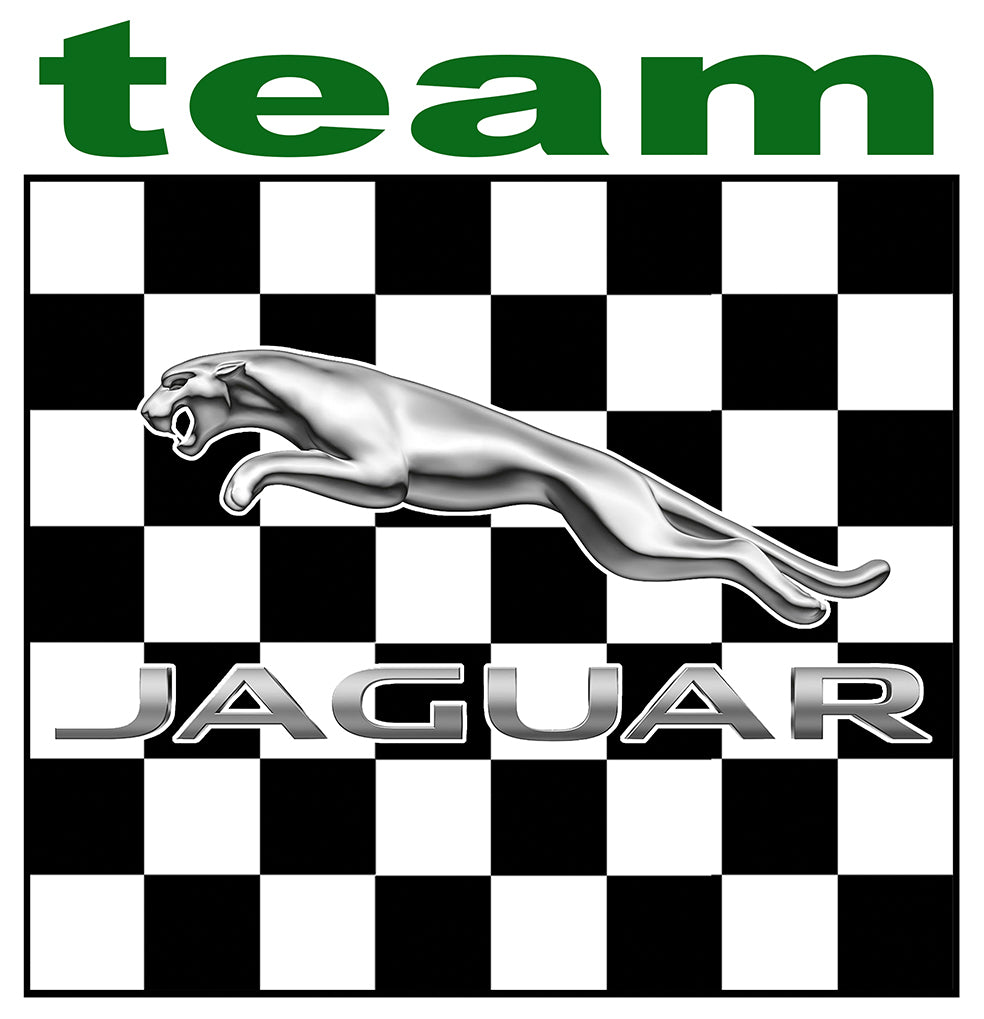 ABARTH STICKER - AA001