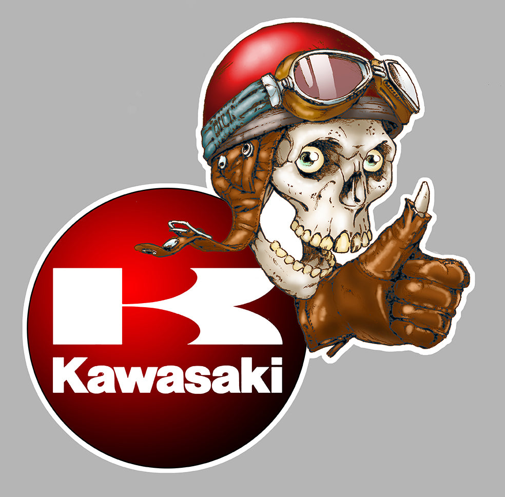 STICKER KAWASAKI - KA023D
