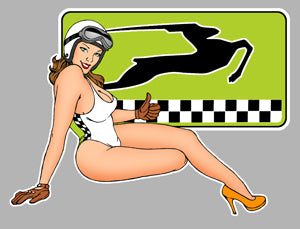 ABARTH STICKER - AA001