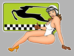 ABARTH STICKER - AA001