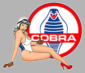 Sticker Ford Cobra Shelby PB434 – Autocollant adhésif