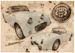 ART PRINT "DA VINCI" - AUSTIN HEALEY SPRITE FROG EYE - Ref : DV028