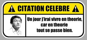 STICKER CITATION CELEBRE DESPROGES - TB133
