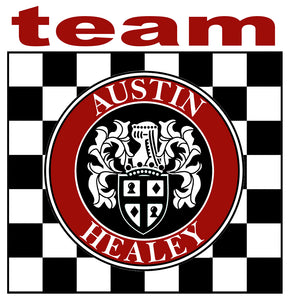 AUSTIN HEALEY TEAM STICKER - AB048