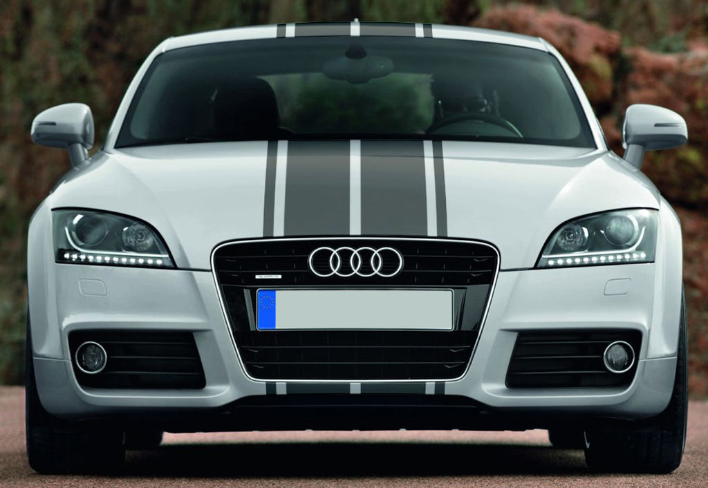 BANDES DOUBLE FILET CAPOT TOIT COFFRE AUDI TT mk2 8J 2006 2014 Ref : BD802-11