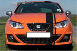 BANDES SIMPLE FILET - CAPOT TOIT COFFRE - SEAT Ibiza 4 2008 2019 - Ref : BD803-8